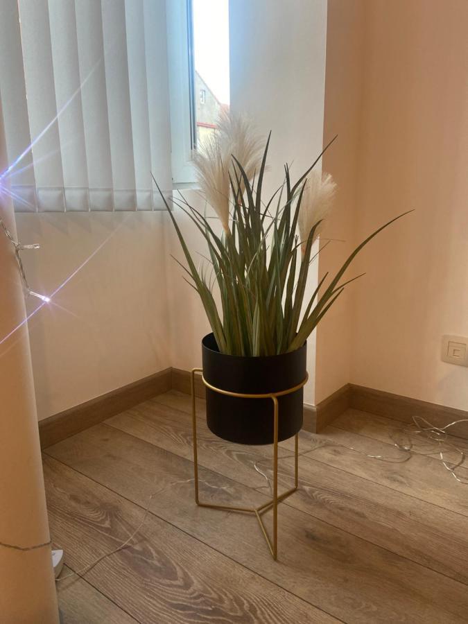 Modern Centrum Apartment